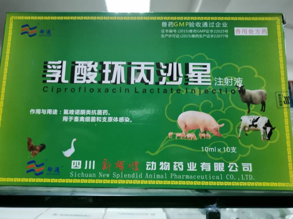 QQ圖片20210603122314.jpg