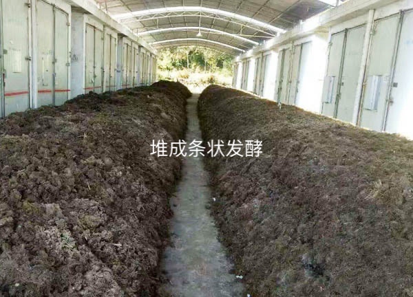 微信圖片_20250506210721.jpg